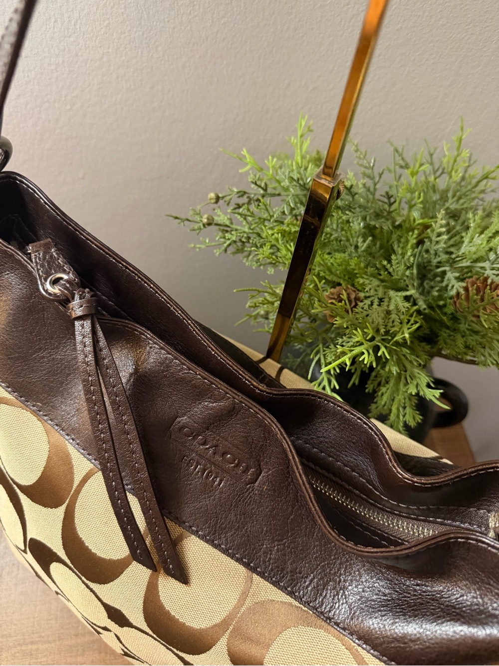 Coach Signature C Zoe Bag - Picture 3 of 16